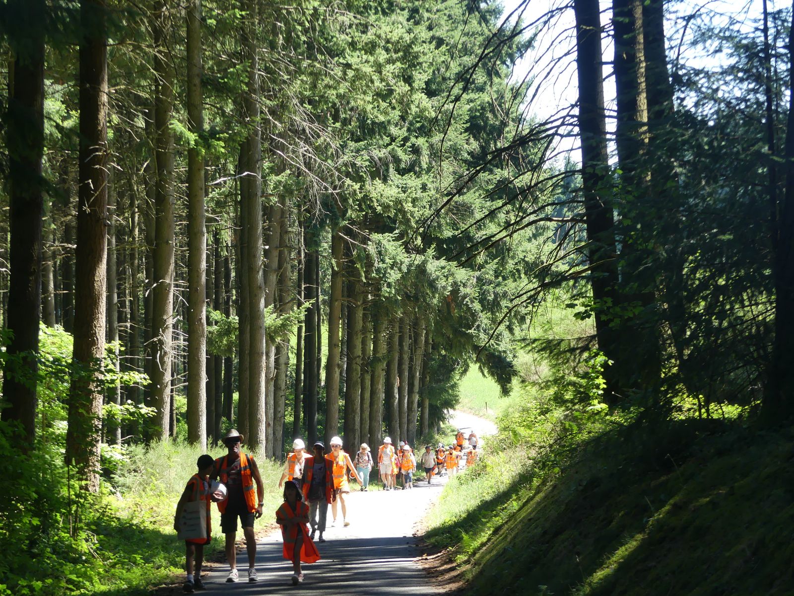 Vis ma Vie de Bûcheron - 2022