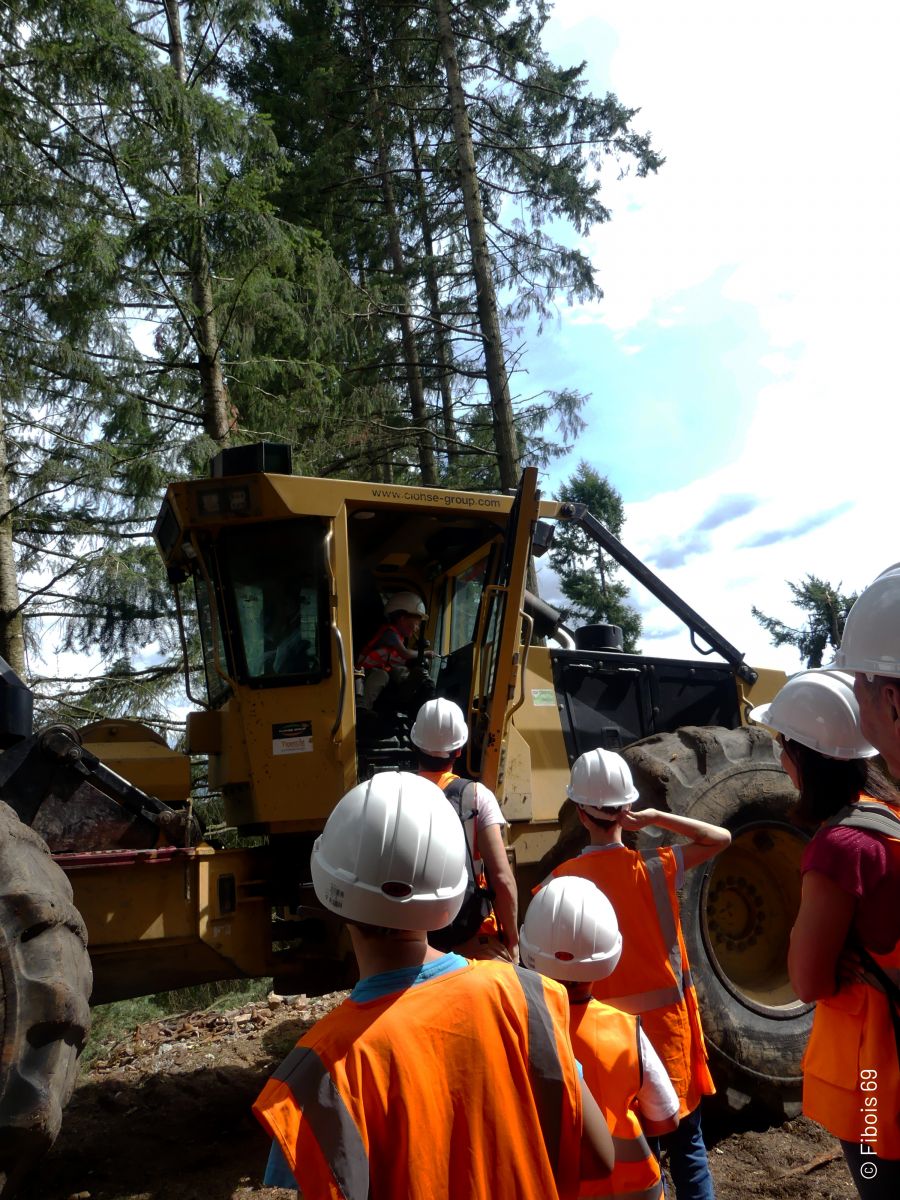 Vis ma Vie de Bûcheron - 2025