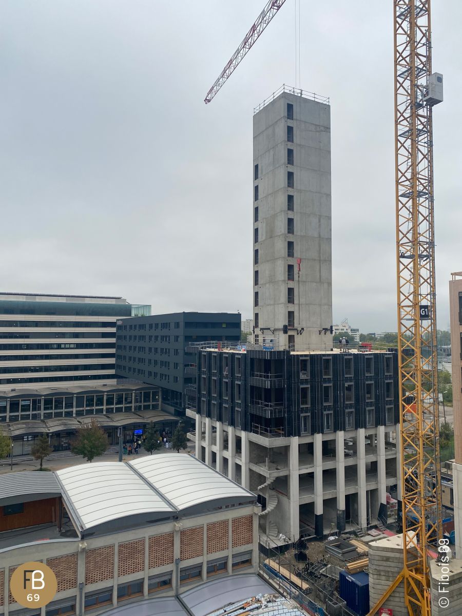 Visite Pro-Bois : Albizzia