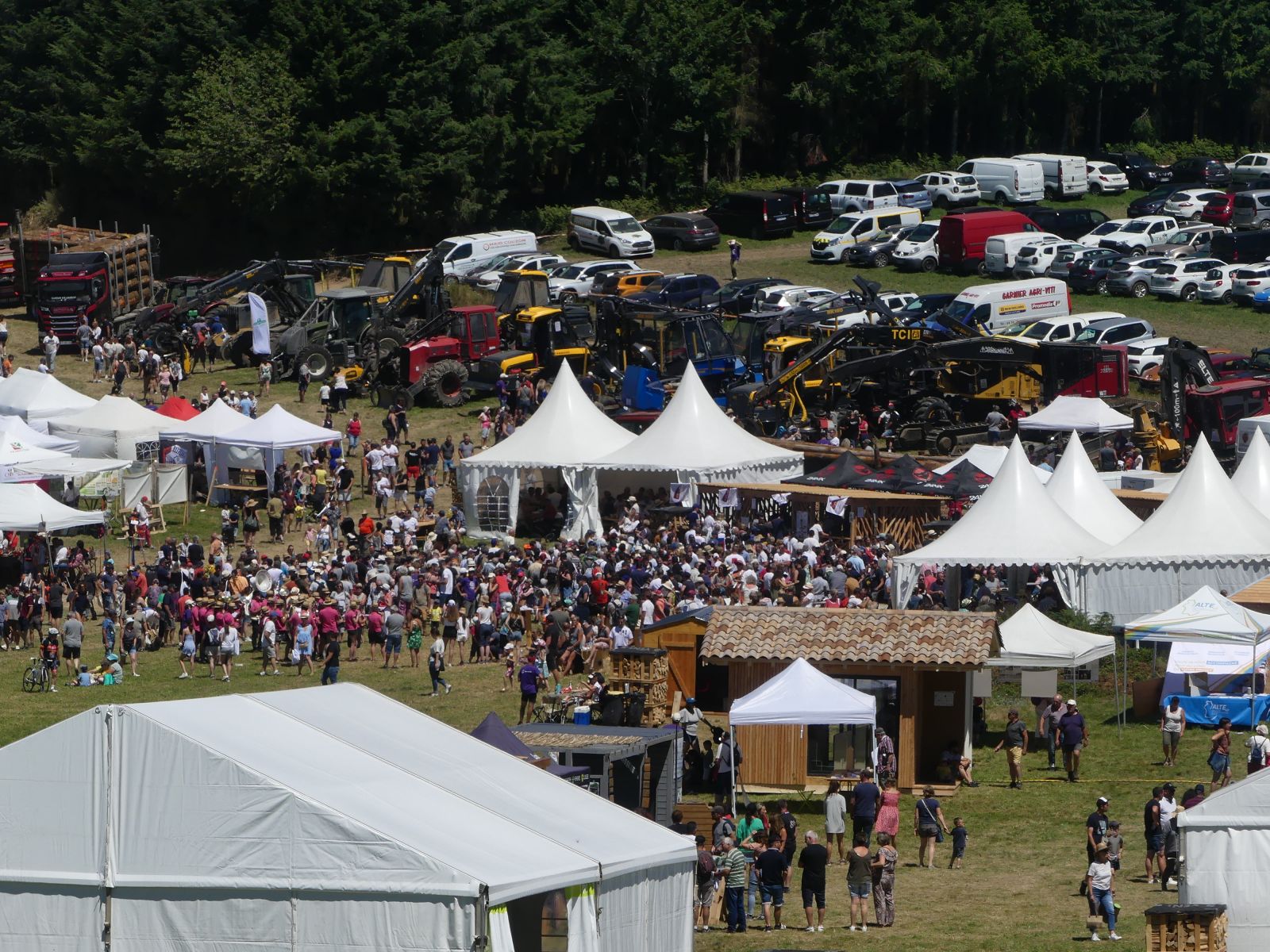 Grande Fête de la Forêt et du Bois - 2022