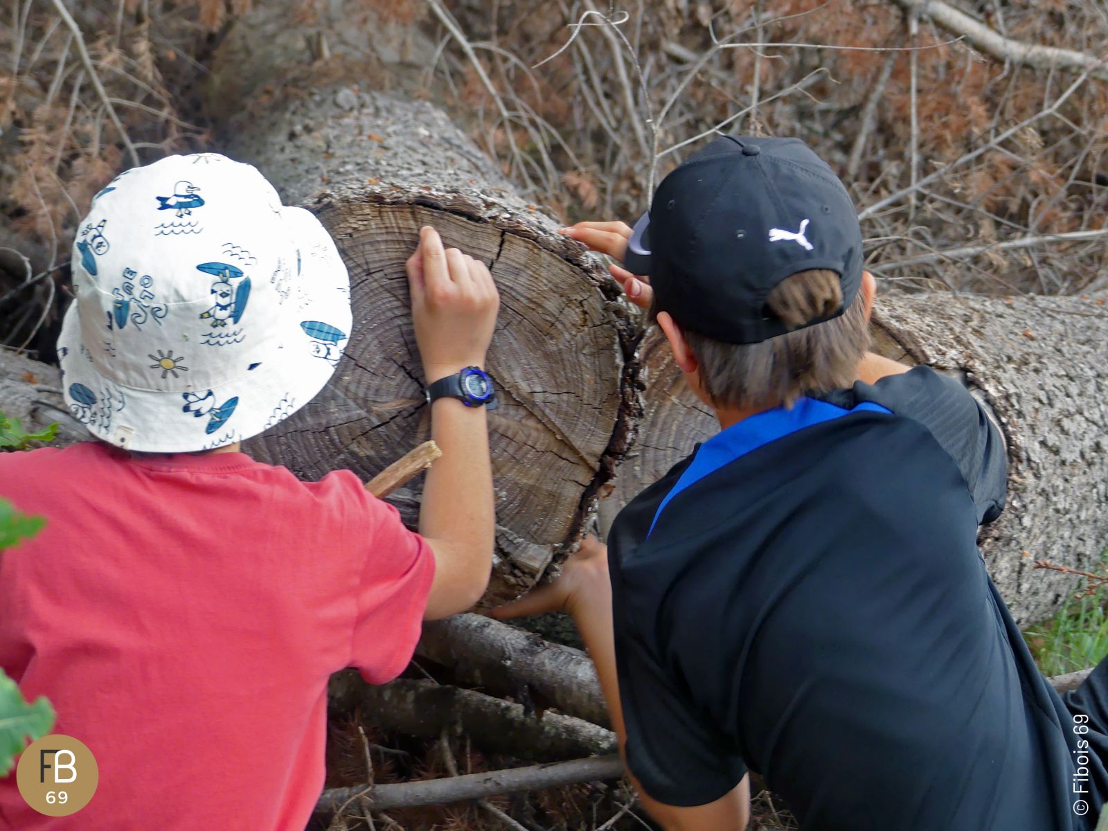Sortie en forêt - École primaire Chervinges - 2023