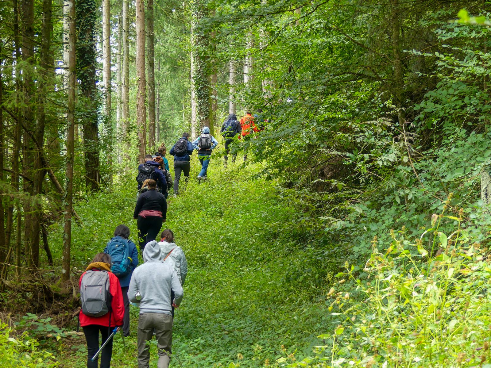 ENSAL - 2021-2022 - Projet Brou - Visite en forêt