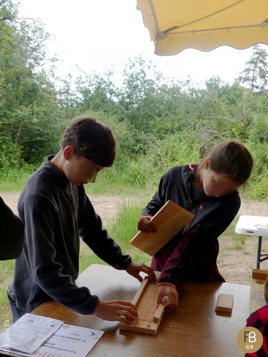 Fabrication de hôtel à chauve-souris
