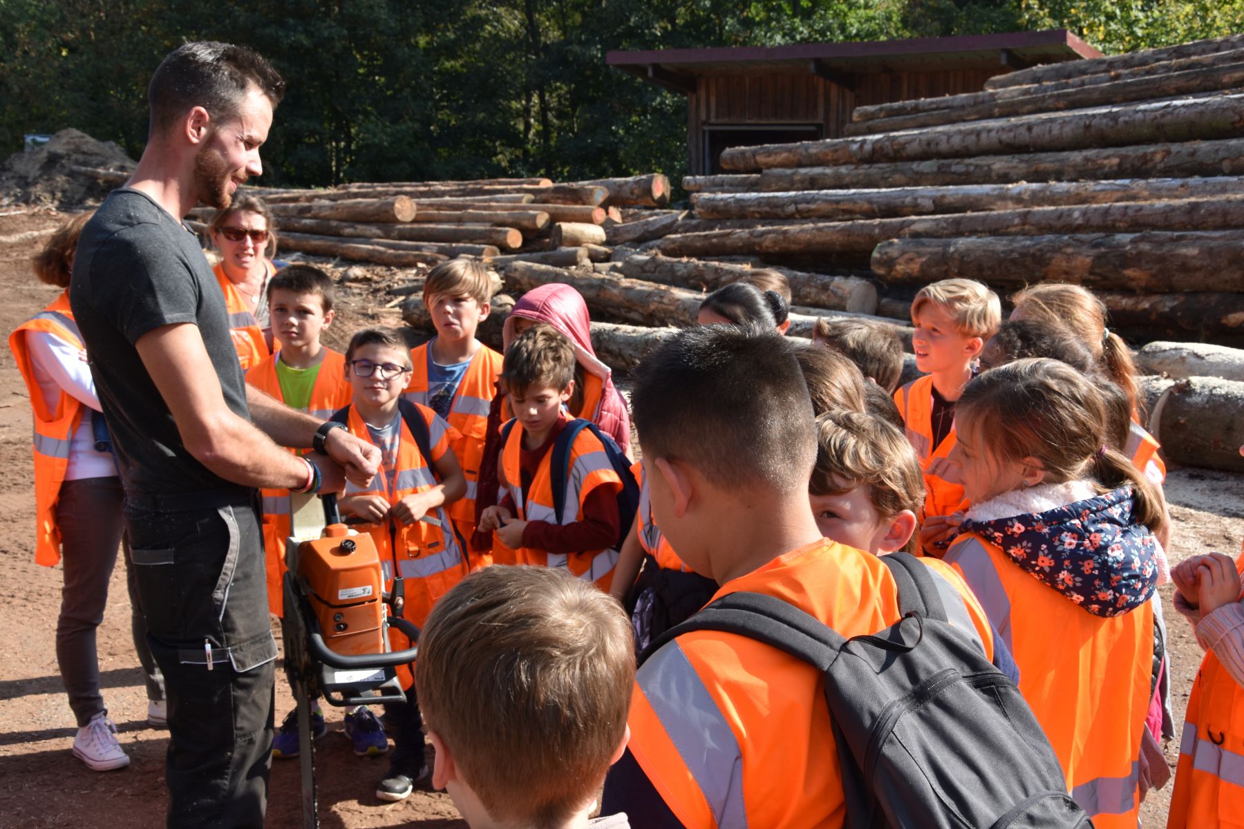 Faire découvrir la forêt et le bois aux plus jeunes
