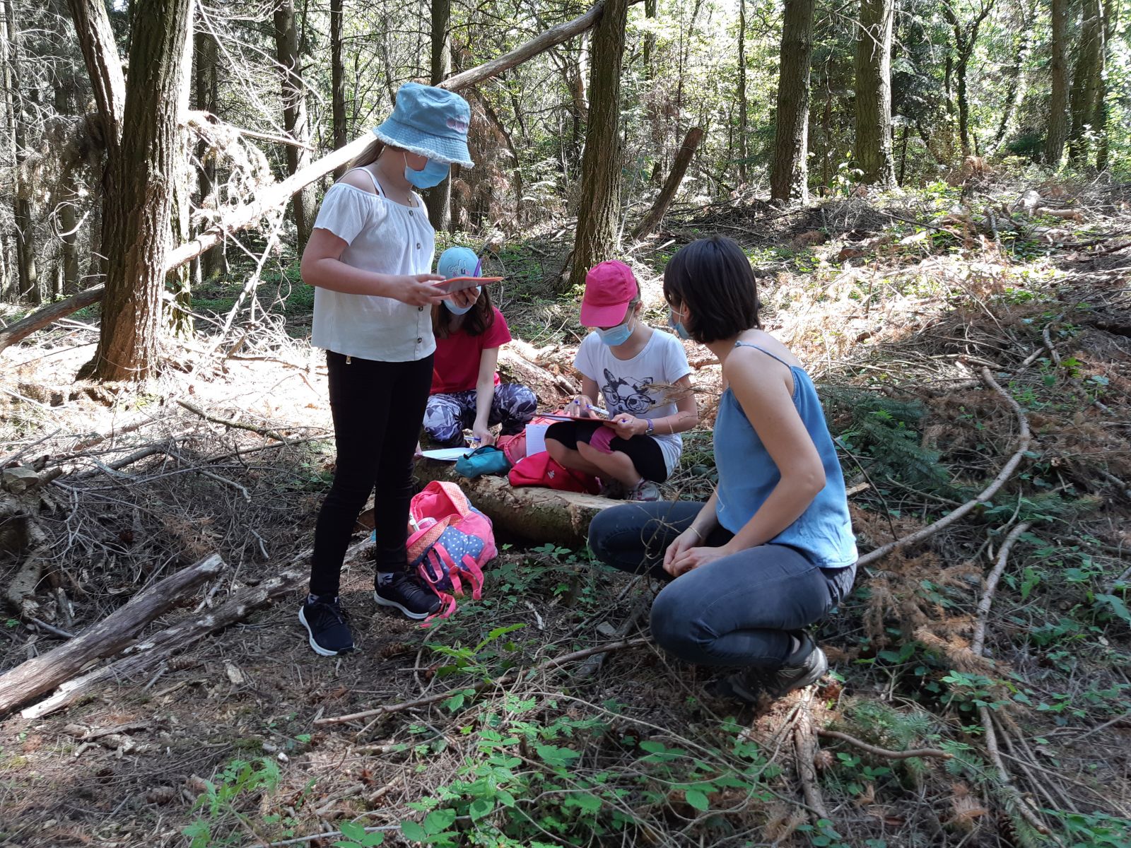 Sortie en forêt - atelier d'observation et de description de la forêt