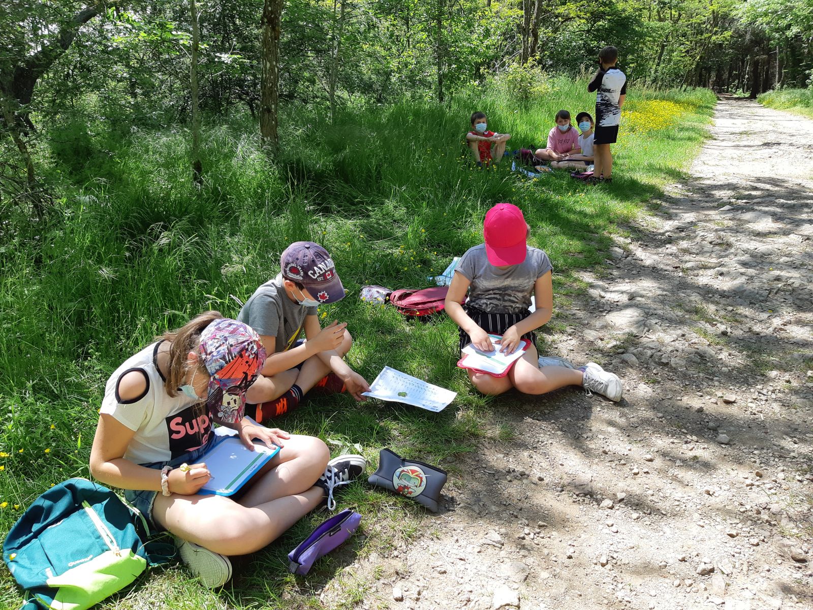 Sortie en forêt - atelier de reconnaissance des arbres