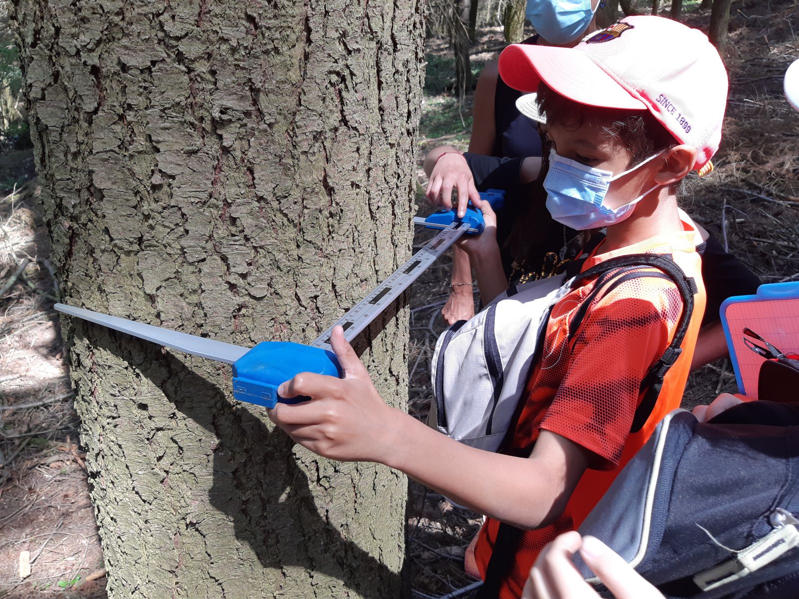 Sortie en forêt - atelier de l'apprenti forestier