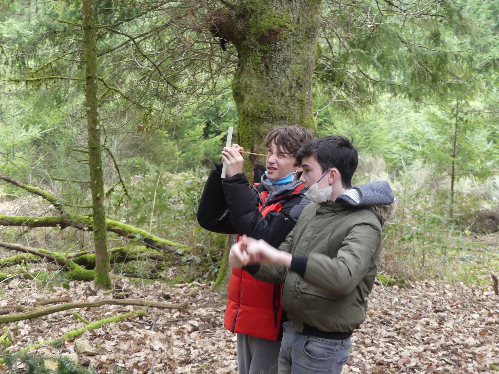Atelier en forêt - Gestion forestière - 2022