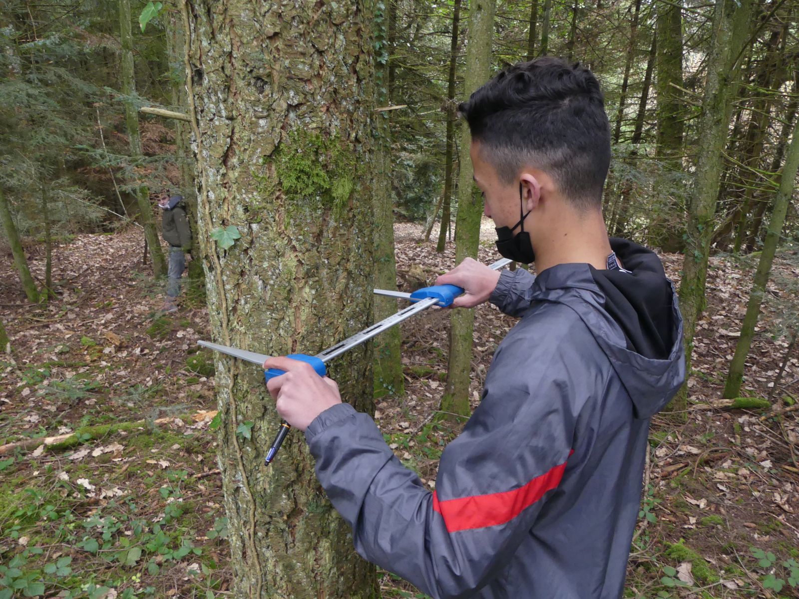 Atelier en forêt - Gestion forestière - 2022