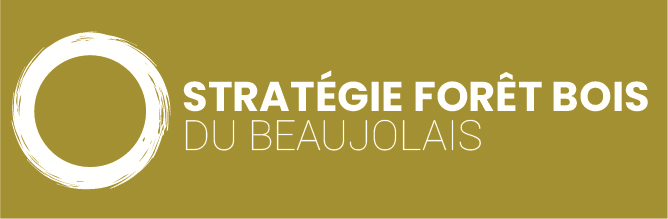 strategie-foret-bois-du-beaujolais